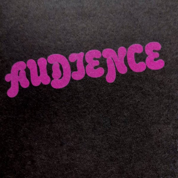 Audience • Audience