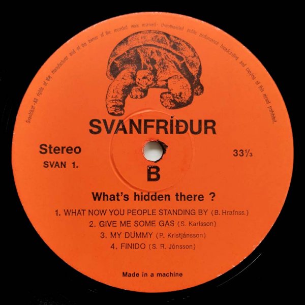 Svanfridur • What's Hidden There